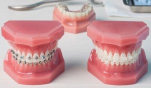 contents_img013